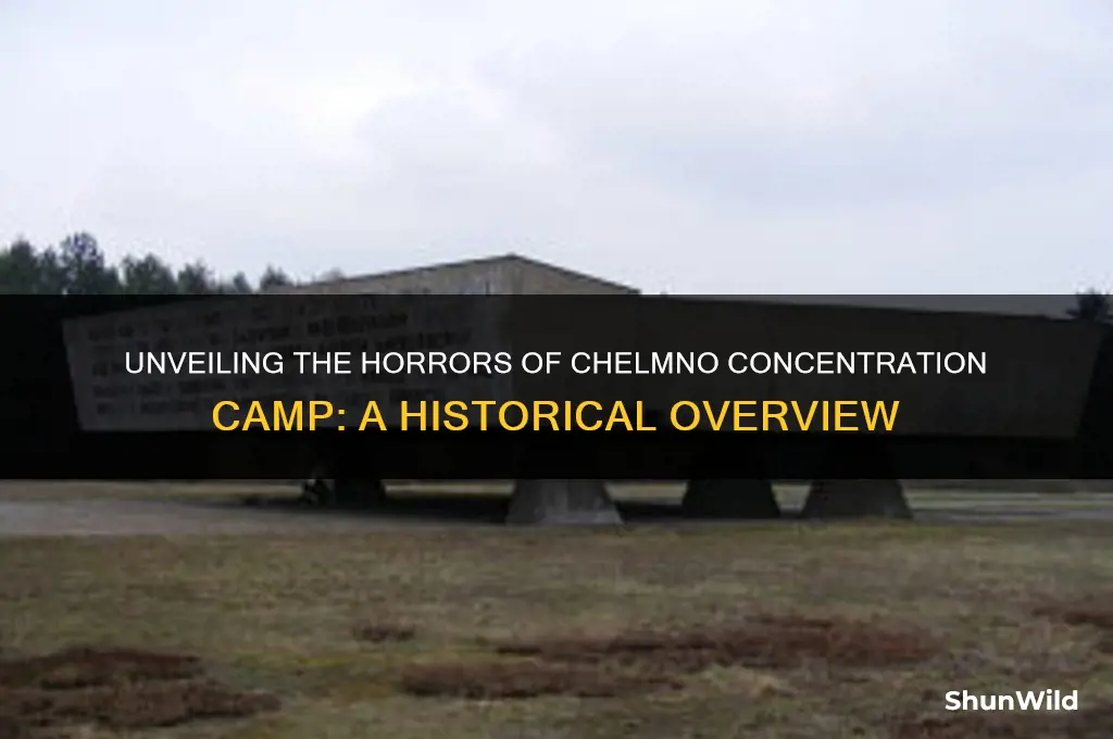 what happened in chelmno concentration camp