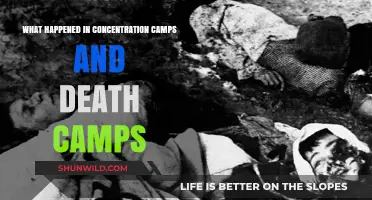 Unveiling the Horrors: Concentration Camps and Death Camps Explained