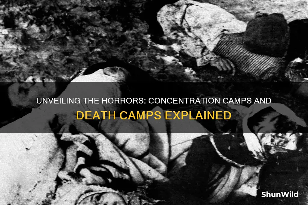 what happened in concentration camps and death camps