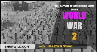 Unveiling the Horrors: Life and Death in WWII Concentration Camps