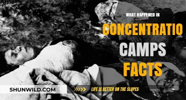 Unveiling the Horrors: Concentration Camps' Brutal Realities Exposed