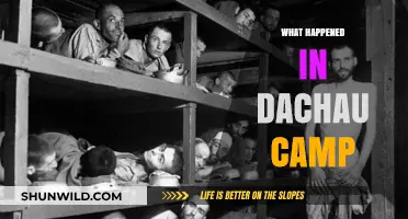 Dachau Concentration Camp: Uncovering the Horrors and History of Nazi Atrocities