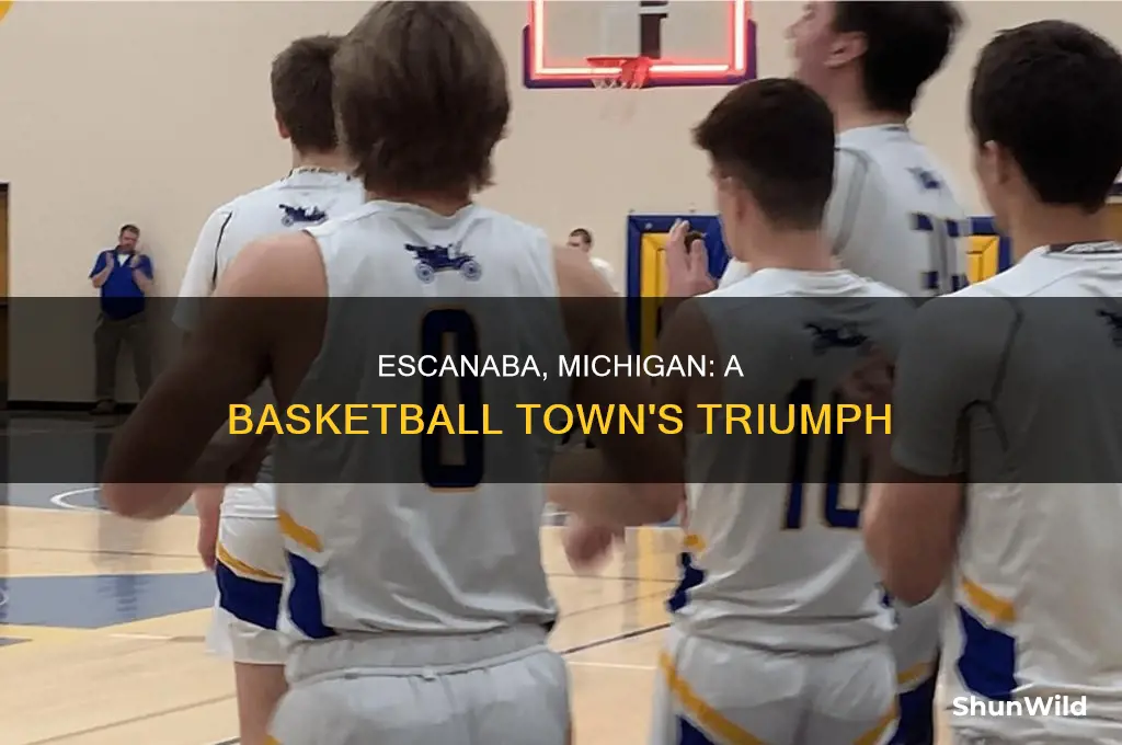 what happened in escanaba michigan basketball