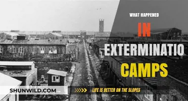 Unveiling the Horrors: Inside the Extermination Camps of the Holocaust