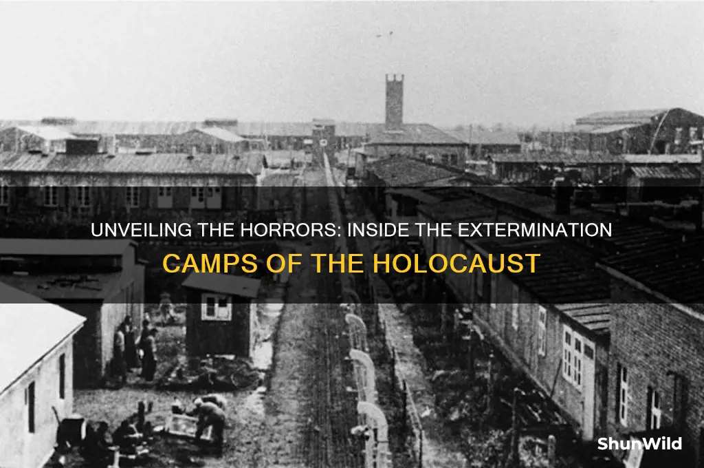 what happened in extermination camps