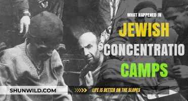Unveiling the Horrors: Jewish Concentration Camps' Dark History Explored