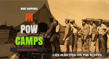 Life and Survival: Uncovering the Harsh Realities of POW Camps