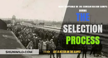 Selection Process in Concentration Camps: A Chilling Account of Survival
