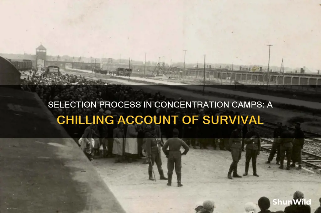 what happened in the concentration camps during the selection process