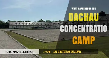 Dachau Concentration Camp: History, Horrors, and Liberation Revealed