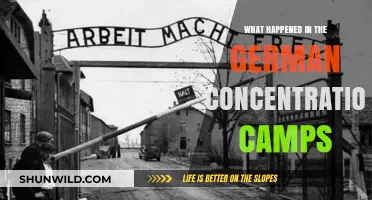 Unveiling the Horrors: Inside Germany's Concentration Camps During World War II