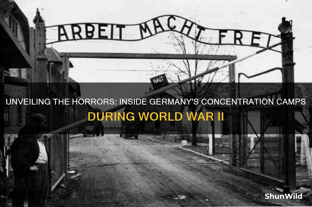 what happened in the german concentration camps