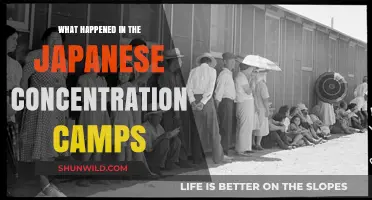 Unveiling the Dark History of Japanese Concentration Camps