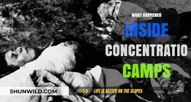 Inside the Camps: Uncovering the Horrors of Concentration Camps