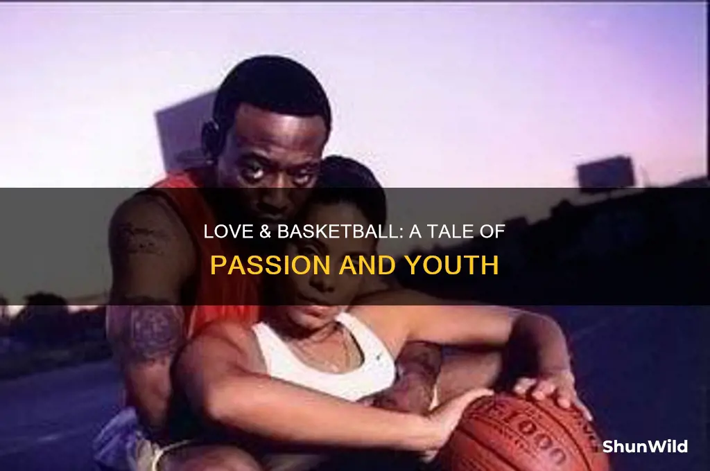 what happened on love and basketball