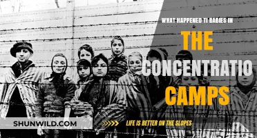 Innocence Lost: The Tragic Fate of Babies in Concentration Camps