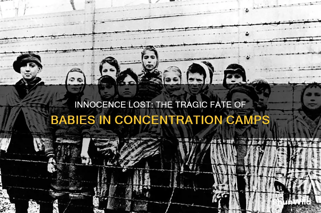 what happened ti babies in the concentration camps