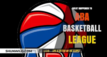 The Demise of ABA Basketball League