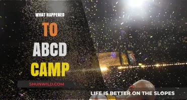 The Mysterious Disappearance of ABCD Camp: Unraveling the Untold Story