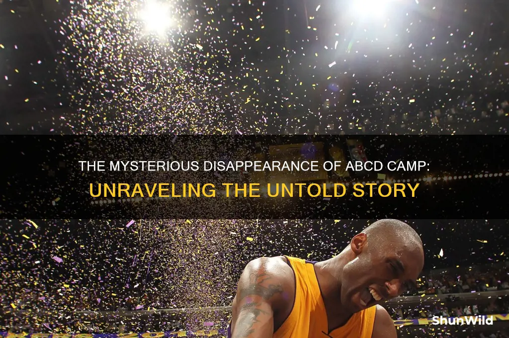 what happened to abcd camp
