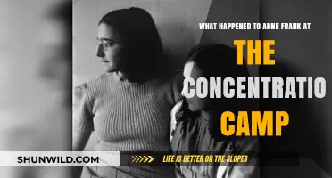 Anne Frank's Final Days: The Concentration Camp Tragedy Unveiled