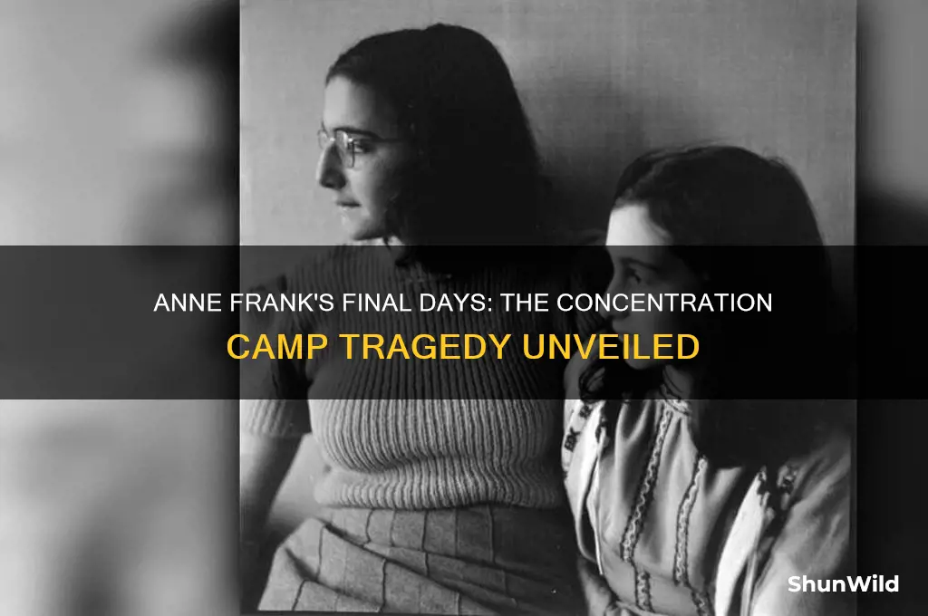 what happened to anne frank at the concentration camp