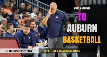 Auburn Basketball: What Went Wrong?