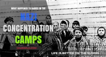 The Forgotten Innocents: Nazi Concentration Camps' Dark Legacy on Babies