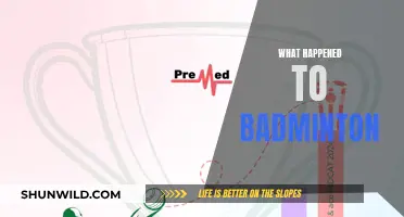 Badminton's Evolution: A Sport's Rise and Fall