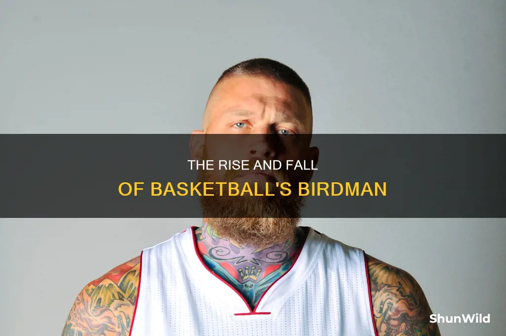 what happened to basketball birdman