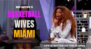 The Evolution of Basketball Wives Miami: Where Are They Now?