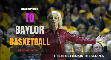 Baylor Basketball: A Fall from Grace