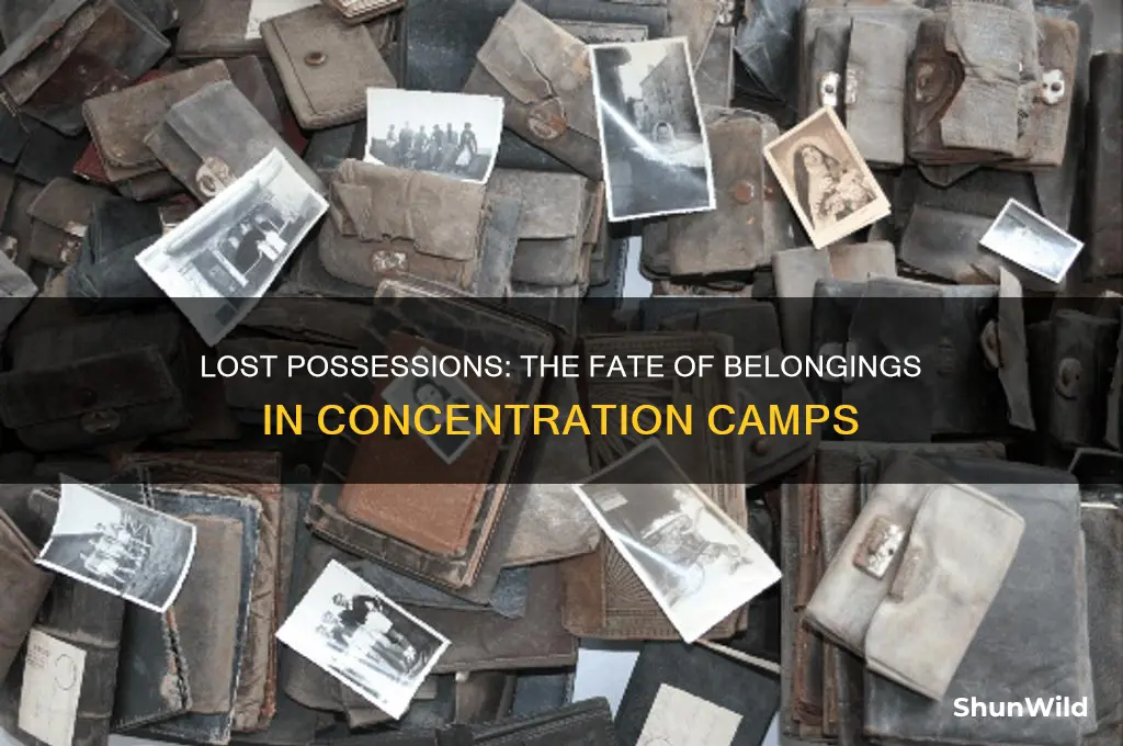 what happened to belongings in the concentration camps