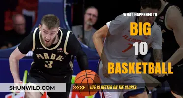 The Evolution of Big Ten Basketball: A Historical Perspective