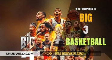 The Rise and Fall of Big 3 Basketball