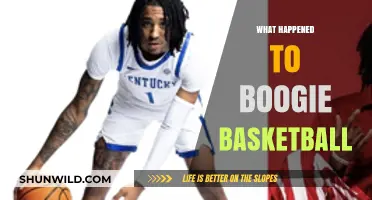 The Rise and Fall of Boogie's Basketball Career
