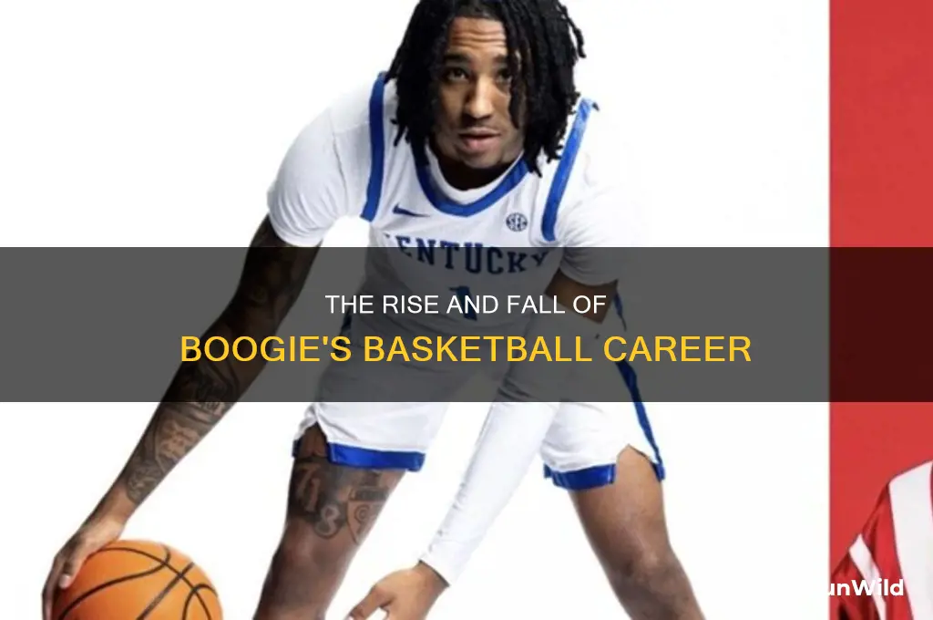 what happened to boogie basketball