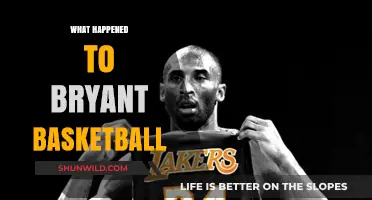 Bryant Basketball: A Rise, Fall, and Rise Again