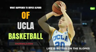 The Rise and Fall of Bryce Alford in UCLA Basketball