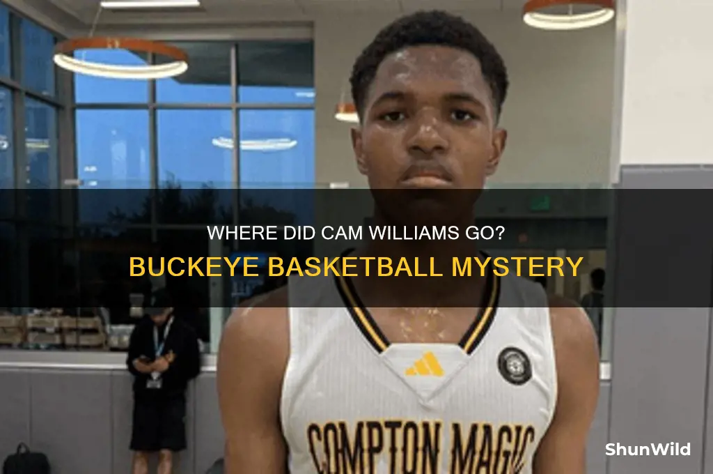what happened to cam williams buckeye basketball