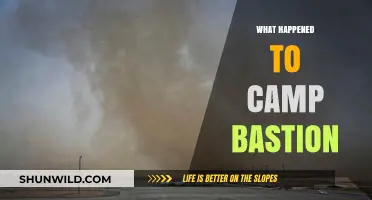 The Fall of Camp Bastion: Unraveling the Aftermath and Legacy