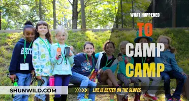 What Happened to Camp Camp: The Sudden Disappearance Explained