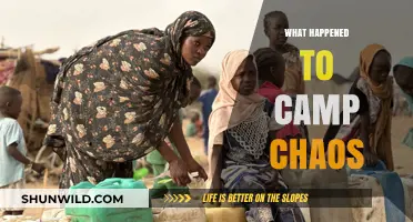 Camp Chaos: Unraveling the Mystery of Its Sudden Disappearance