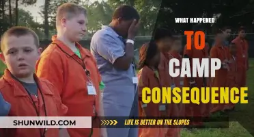 Camp Consequence: Unraveling the Mystery of Its Sudden Disappearance