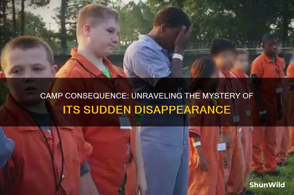 what happened to camp consequence