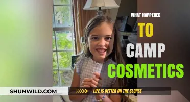 The Disappearance of Camp Cosmetics: A Brand's Sudden Exit Explained