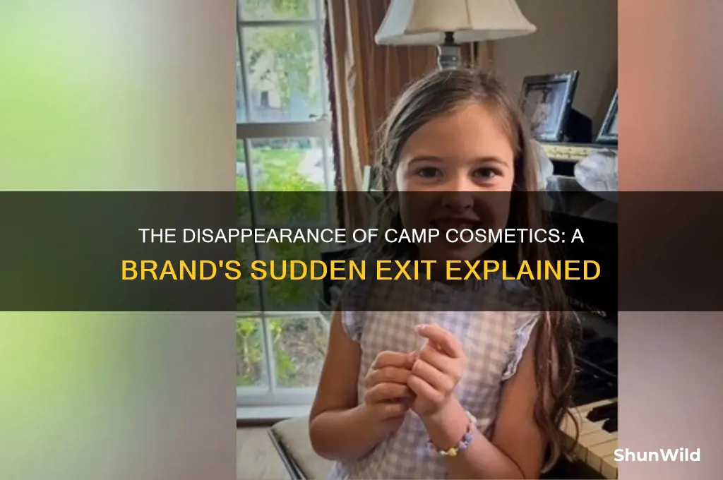 what happened to camp cosmetics