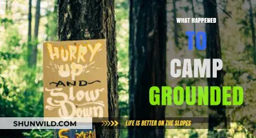 The Rise and Fall of Camp Grounded: A Digital Detox Dream Gone Wrong