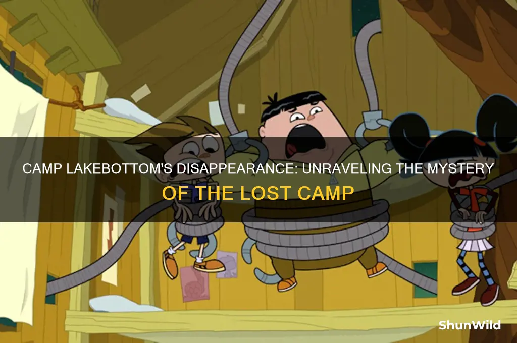 what happened to camp lakebottom