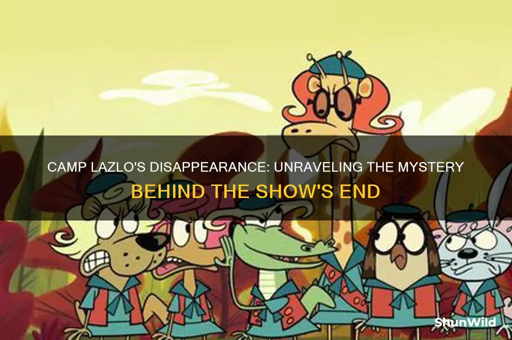 what happened to camp lazlo